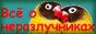 PARROTS - AGAPORNIS - LOVE BIRDS -  -  ::    